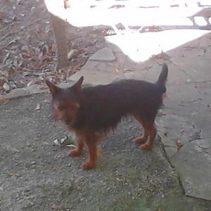 Meet your Posher, Latonja